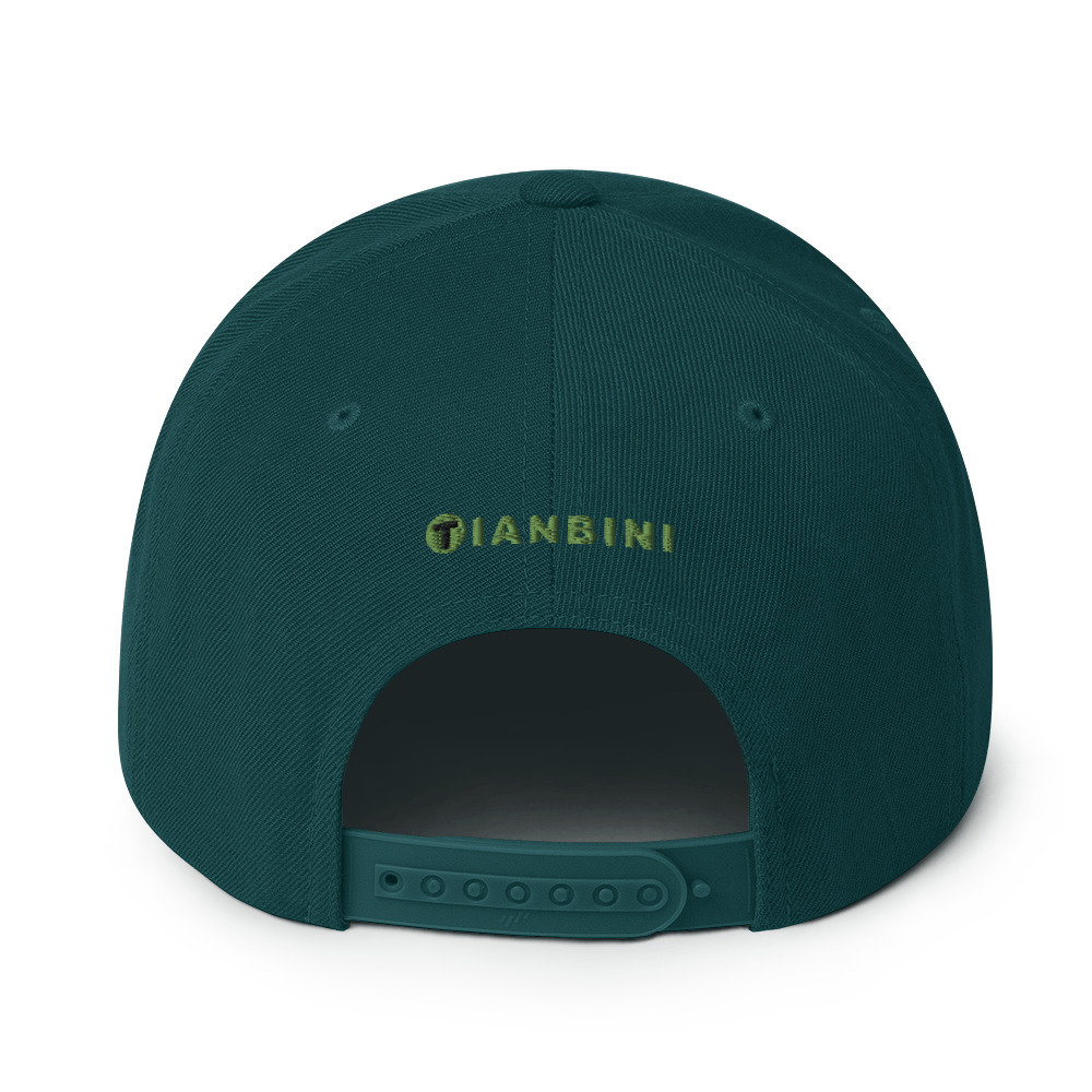 Cap Snapback - Master Blaster (Green Braille) - Image 2